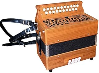 簧风琴 - 弹奏民族乐器 - 乐器 - amazon.cn